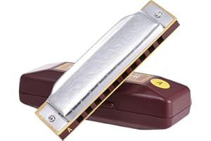 JINGFENG 1072-A Folkmaster Standard 10-Hole Diatonic Harmonica Key of A 20 Tone for Beginner Student