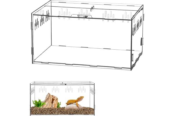 QWORK® Terrarium Acrylique, boîte d'alimentation d'insectes, 30x20x15cm pour mante Religieuse, araignées, lézards, escargots