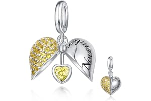 FOREVER QUEEN Femme Charms Pendentif de pierre de Naissance Cœur Pendentif de Charme en argent sterling 925 Charms pour Bracelets et Colliers Européens