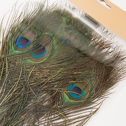 ROSEMARIE SCHULZ® Heidelberg 12 natürliche Pfauenfedern 25-30cm lang - Federn zum Basteln, Schmücken und zur Dekoration