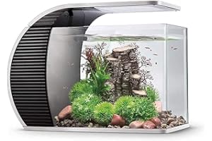 hygger Aquarium 19 litres, Petit Aquarium avec 3.2W Lampe LED, 5W Pompe à Eau, Boîtier de Filtration Caché, Sortie Bouche Canard, Couvercle en Verre