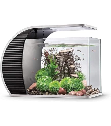 Ultum Nature Systems Würfel-Aquarium 3,5 Liter – Randlos, Eisenarmes Glas, 45° Gehrung, Inkl. Nivelliermatte