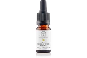 Elixirs & Co - Marronnier rouge/Red Chestnut n°25 BIO - Anxiété et inquiétude - Complément alimentaire naturel aux fleurs de bach 10mL - Compte gouttes 100% Naturel - Fabriqué en France