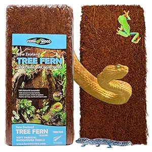 Fernwood Vivarium and Terrarium Background Panels Zealand Tree Fern | Natural and Fibrous | for Reptile Tank Backgrounds and Vivarium Backgrounds| 12x6x.06
