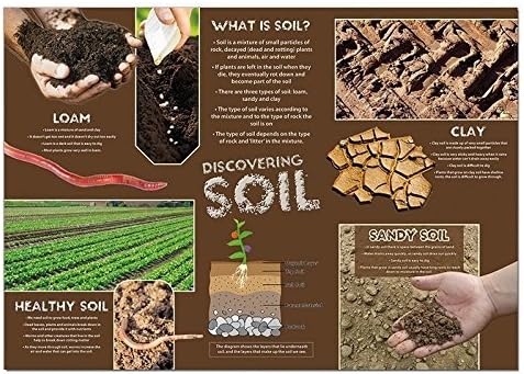 Wildgoose Education SC1133 Discovering Soil Poster