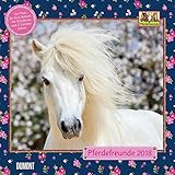 Pferdefreunde 2018 - Broschürenkalender - Wandkalender - Kinderkalender - Format 30 x 30 cm by