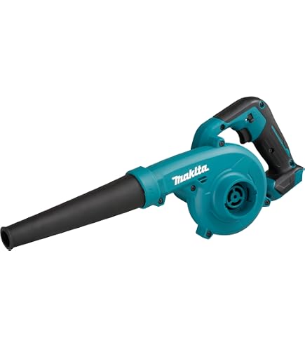 Souffleur De Feuilles Sans Fil 21V Avec Batterie 2 Ah Et 1 Chargeur
