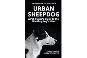 Urban Sheepdog: Understanding Your Herding Breed Dog