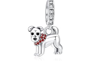 Annmors Abalorios Charms para Plata Ley 925 con Circonita Cúbica Pulsera Collar Mujer