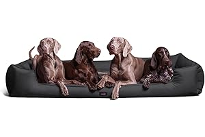 tierlando® Goofy Visco Orthopaedic Dog Bed, Includes Mattress Protector, Polyester Dog Sofa M, L, XL, XXL, XXXL, 90 -185 cm, 30 Colours