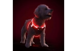 PcEoTllar Harnais Lumineux Chien Rechargeable, Harnais Lumineux Chien LED pour Chiot Petit Moyen Chien Clignotant Réfléchissant Confortable, Noir Rouge-XS