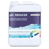 Nortembio pH Minus L&iacute;quido 5 L Reductor de pH Piscina y SPA, Bajar pH Agua R&aacute;pido, Ajustador pH Tratamiento Agua Piscina, Com