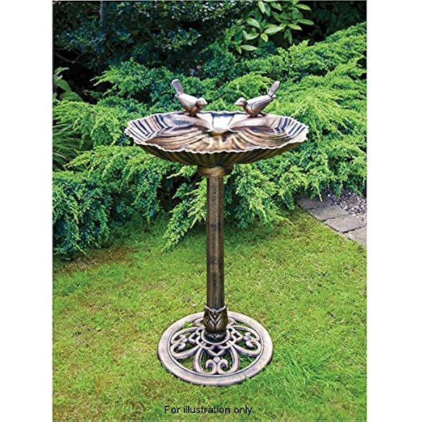 bird stand outdoor