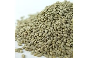 GardenersDream Corazones de Girasol - Semillas Premium para Panadería de Aves Silvestres (12.5kg)