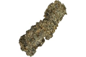 GEOFOSSILS Fulgurite Healing Crystal