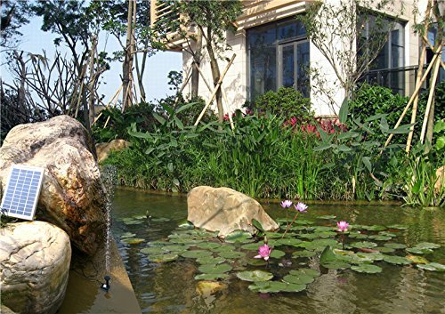 Hedc® Solar Teichpumpe,5W Solar Springbrunnen Solarpumpen Teich Springbrunnen Wasserpumpen für Gartenteich Max. Förderhöhe:60 cm ,380 L/h ,mit 3 Verschiedenen Düse - 3