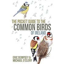 Birds of Ireland : Wilson, Jim, Carmody, Mark: Amazon.ie: Books