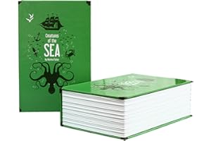 CURRENTIZ Coffre-Fort en Livre - Verrou À Combinaison, Coffre-Fort Portable, pour Stocker l'argent, des Bijoux Et Un Passeport