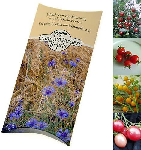 Sweet Cherry Tomatoes - Seed kit Gift Box with 4 Delicious, Aromatic Tomato Varieties for Cultivation