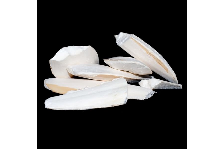 Pet Ting Broken Cuttlefish Pieces, 100g