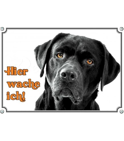 Nanyuk Basset Hound Warnschild – 30,5 X 20 Cm, Aluminium, Für Garten, Einfahrt & Hundehaltung