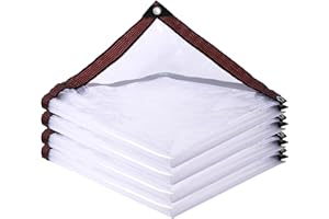 HESIOL Przezroczysta plandeka z oczkami, wodoszczelna, przezroczysta, na meble ogrodowe, odporna na warunki atmosferyczne, wodoszczelna, do użytku na zewnątrz, do szklarni (2.5x4m)