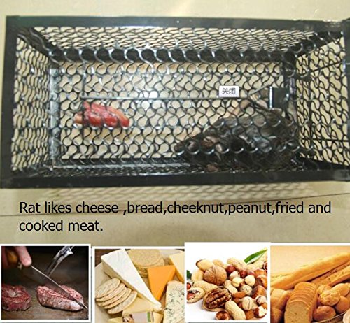 WARKHOME Mausefalle Kastenfalle 24×11.5×11.5 cm (LxBxH) Falle Tierfalle - 5