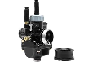 ZSDTRP Motorrad-Vergaser für PHBG DS 19 mm Rennvergaser für 2-Takt 50-110 cc Roller Motorrad Moped (19 mm)