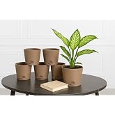 Maxx Plast 5 Inch Self Watering Pots | Set of 5 Decorative Plastic Planters for Indoor & Outdoor Plants | Durable, Lightweigh