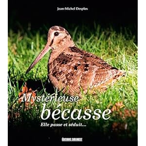 MYSTERIEUSE BECASSE