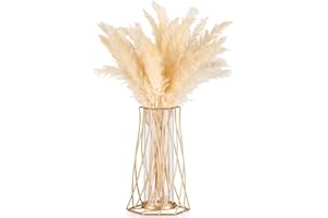 Sziqiqi Dorado Vidrio Jarrones Decorativos Modernos, Metal Jarrones de Flores para Orquideas, Jarron Geométrico para Mesa, Sala Salon Cocina Hogar Comedor Escritorio Habitacion