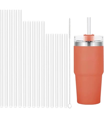 6 Stanley-Rietjes van Roestvrij Staal - 30 cm Herbruikbare Metalen Rietjes voor Stanley 100 ml, Cocktails, Smoothies en Sappen
