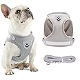 Anlitent Lightweight Non-Pull Dog Harness and Leash Set For Puppy Small Dogs, Back Clip Dog Vest Harnesses for Small Medium Dogs, Best Daily Wear Dog Collar for Carc (X-Large, Grey)