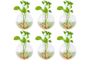 Glasseam Jardinières Suspendues en Verre 6 Pcs Forme Sphérique Pots De Plantes Terrarium Vase De Récipient avec 6,36 Oz Pierres Colorées Intérieur Extérieur pour La Maison Jardin Bureau Mariage