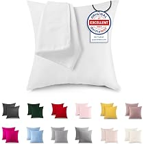 Betten Hofmann Daunenkissen 40x40 Cm – 150 G Daunen, Waschbar, Kuschelweich Für Erholsamen Schlaf