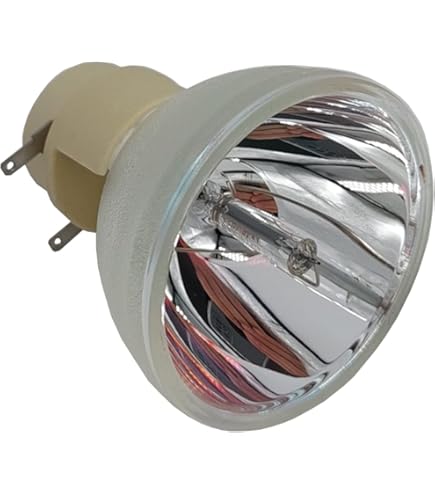 P-VIP 245/0.8 E30.5 Lampe vidéoprojecteur pour différents projecteurs