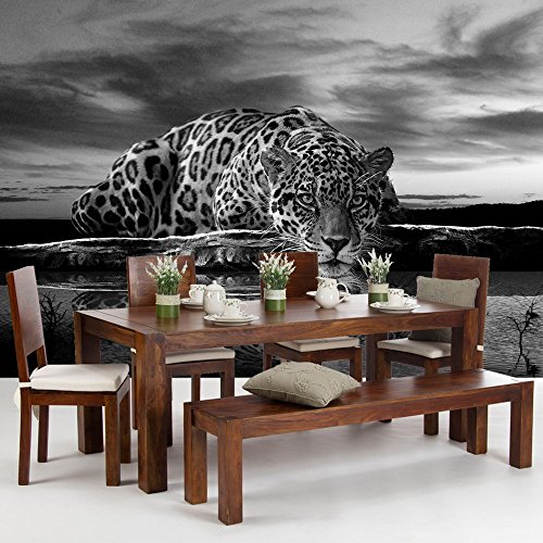 Vlies Fototapete PREMIUM PLUS Wand Foto Tapete Wand Bild Vliestapete – Leopard Wasser Himmel – no. 3560, Größe: 368 x 254 cm Vlies - 5