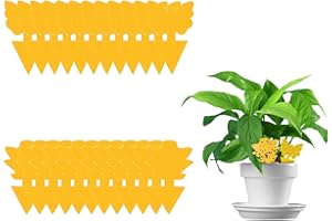 AMZFUK Atrapa Moscas 24 Piezas,Trampa para Moscas,Trampas Adhesivas para Moscas Amarillas Atrapa Mosquitos para Plantas de Interior y Exterior Control de Plagas