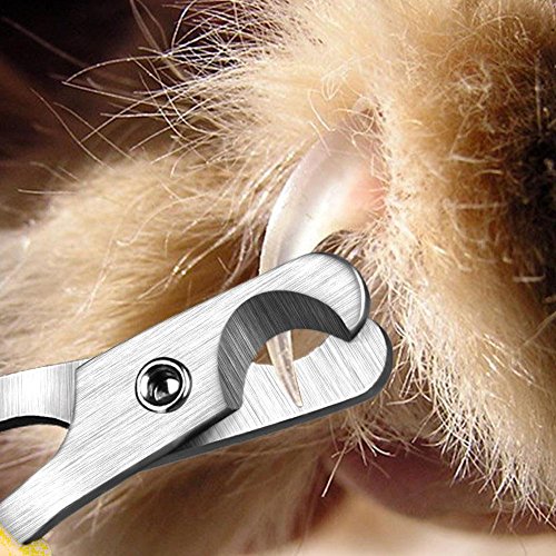AIDIYA-Coupe-ongles-pour-chats-Ongles-de-chat-Tondeuse-professionnelle-pour-chats-et-petits-chiens-de-race-galement-pour-les-petits-animaux-chiots-oiseaux-lapins-cochons-dInde-Facile-et-sr--utiliser-l