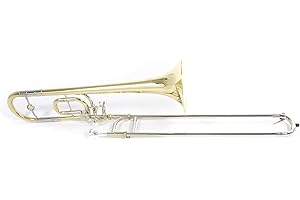 Roy Benson Children's Bb/C Trombón TT-220 (campana de latón de 8", corredera exterior de alpaca, corredera interior de alpaca cromada dura, con características ergonómicas)