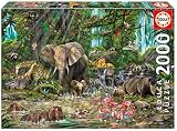 Conoce a los hermosos animales que forman parte de la Jungla Africana