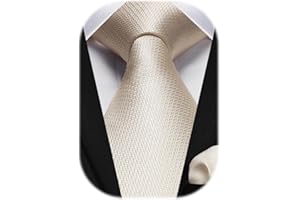 HISDERN Mens Tie and Pocket Square Set Formal Classic Elegant Check Ties for Men UK Wedding Party Business Necktie and Handkerchief