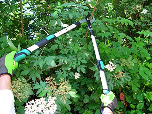 Meister Astschere Bypass, teleskopierbar, 9769200 - 2