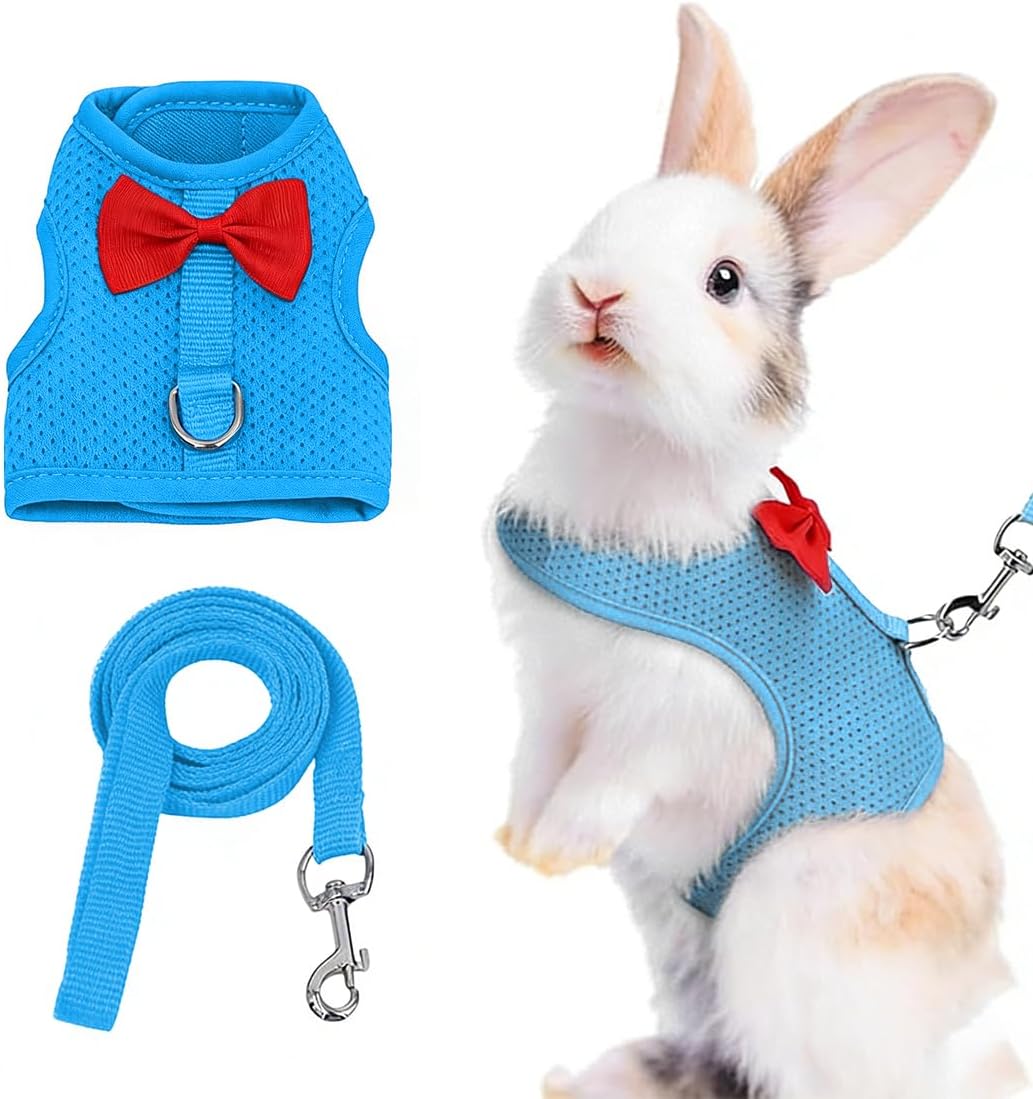 WUYJI Arneses para animales pequeños, Correa para conejos en miniatura (1 pieza, con correa ajustable y correa para animales pequeños, azul)