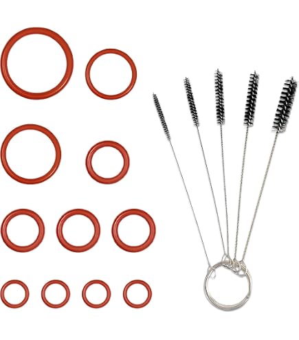 Renz Kit D'Entretien Compatible Groupe De Brassage Siemens EQ5 EQ6 EQ7 EQ8 - Joints, O-Rings Et Graisse Silicone