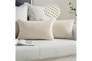 MIULEE Fundas Cojines de Sofá Funda de Almohada de Pana Cojin Rectangular Moderno Color Solido Decoracion para Habitacion Dormitorio Oficina Silla Cama Salón Terraza 2 Piezas Beige 30x50cm