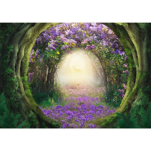 Fototapete Wald 352 x 250 cm – Vliestapete – Wandtapete – Vlies Phototapete – Wand – Wandbilder XXL – !!! 100% MADE IN GERMANY !!! Runa Tapete 9040011a - 7