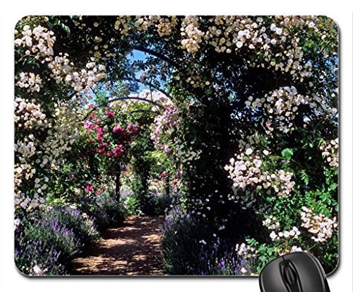 Preisvergleich Produktbild Rose covered pergolas Mouse Pad, Mousepad (Flowers Mouse Pad)