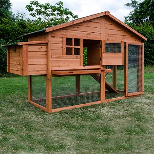 Kct Malaga Extra Large Chicken Coop With Run Animal Shop