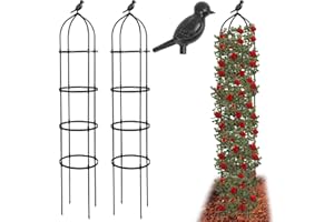 LYFETC 2 Pack 175cm Obelisk Trellis for Climbing Plants,Heighten Metal Garden Trellis,Plant Support for Climbing Vines,Flower Stands,Thickened Tube Plant Tower,Rustproof Garden Obelisk for Outdoor Indoor